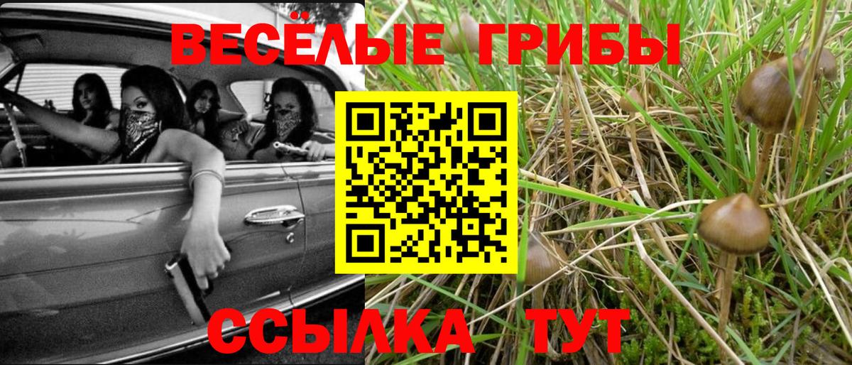 Галлюциногенные грибы Psilocybine cubensis Заречный
