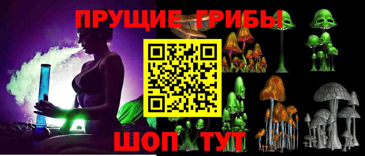 Заречный  Галлюциногенные грибы мухоморы  Вход с VPN 
