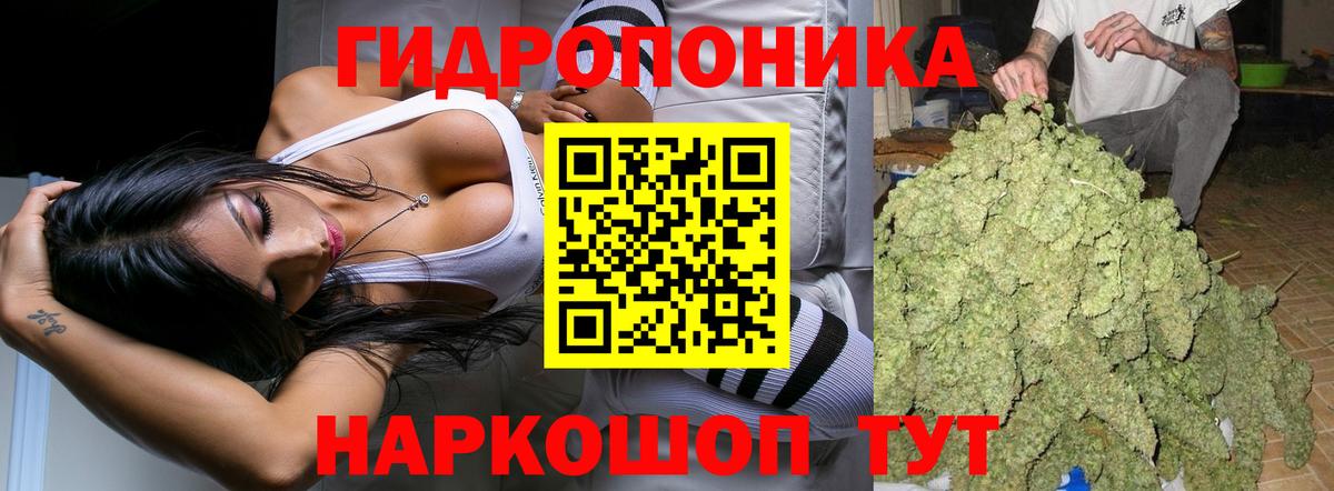 Бошки марихуана VHQ Заречный